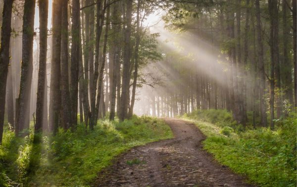 Praying For Breakthrough