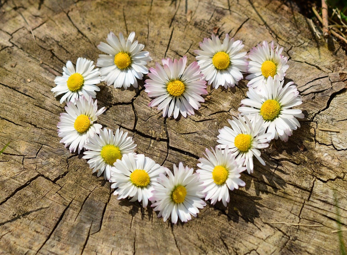 Generous Congregants - day 30