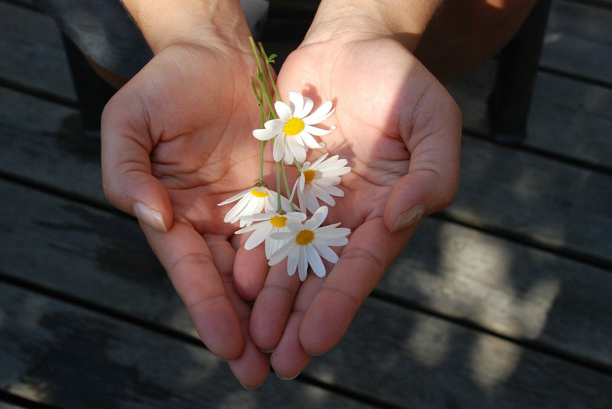 Excellent Giving - day 39