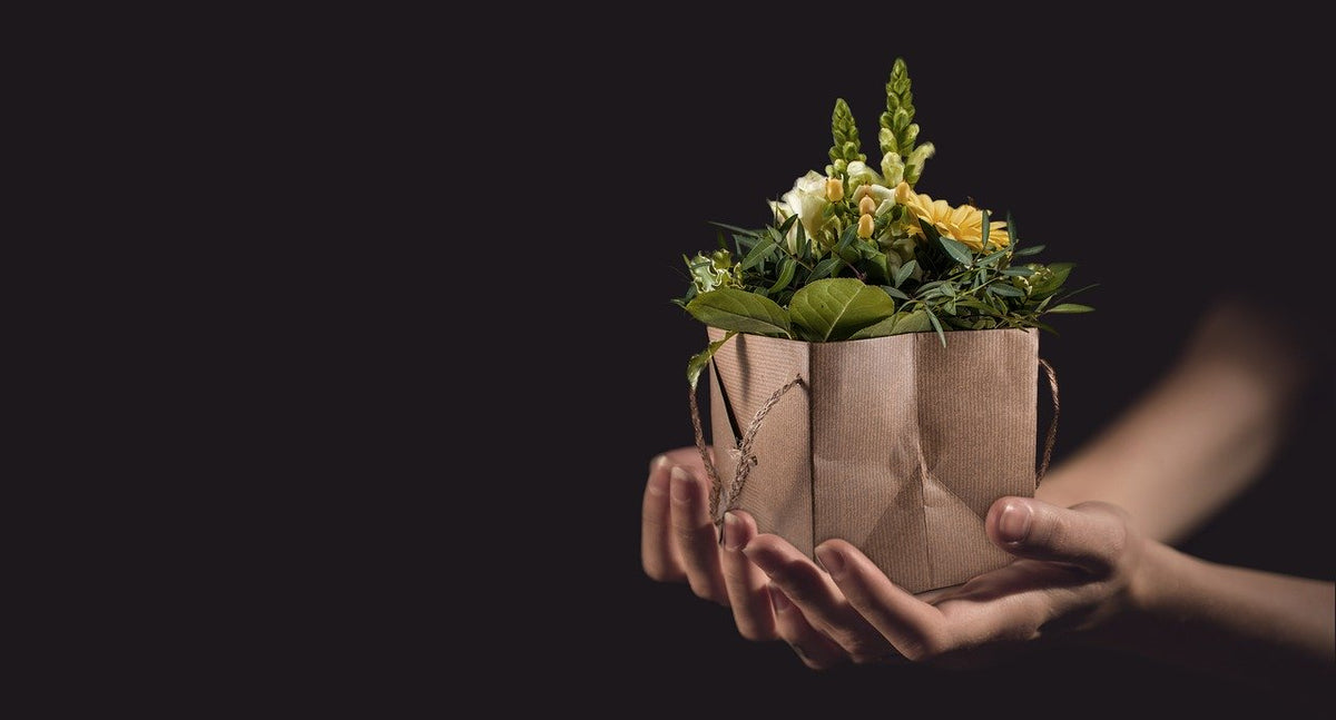 Giving For Beginners - day 45