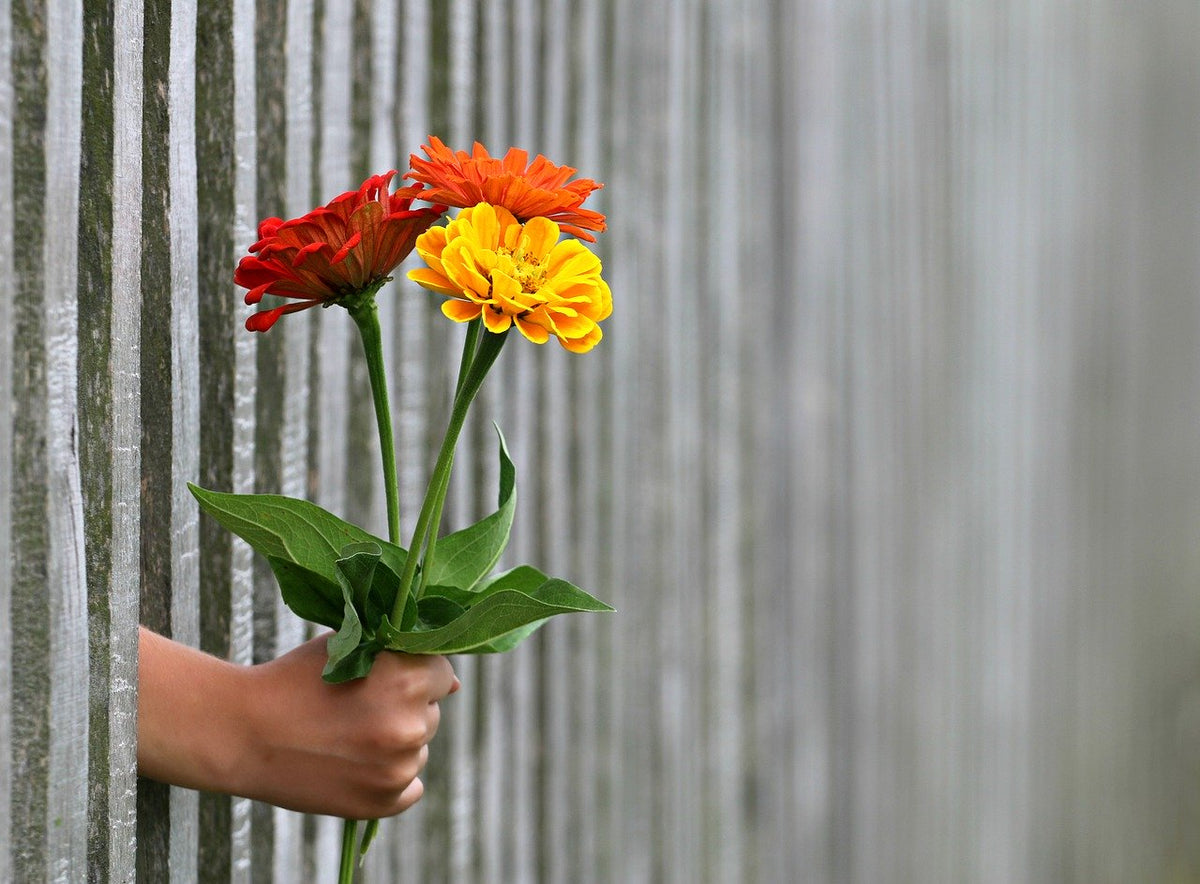 Generosity is Not… - Day 89