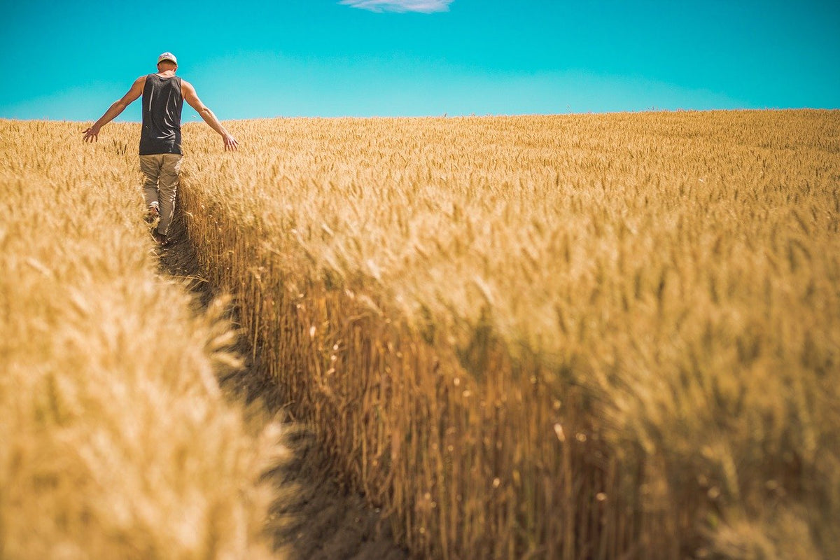 Being a Landowner - Day 96