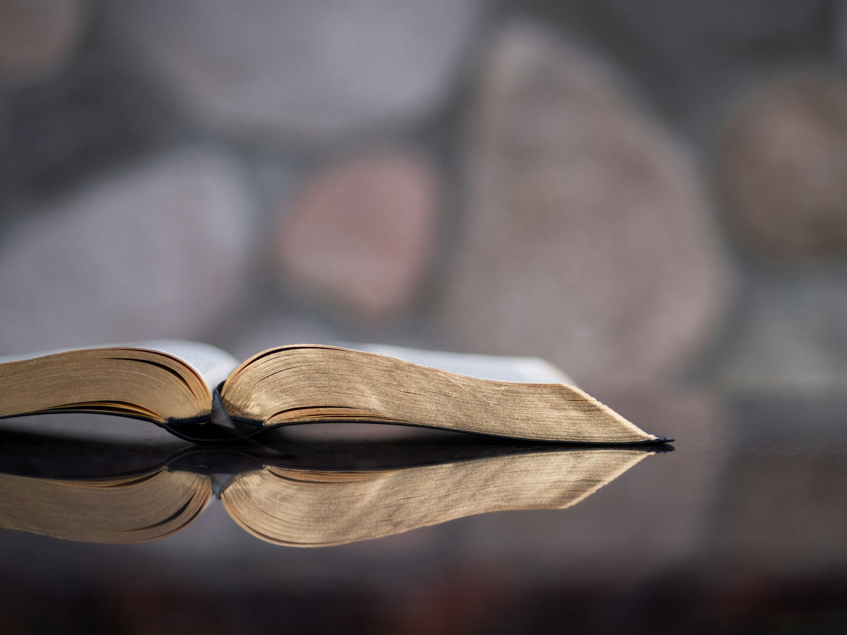 Even Christian Haters Prefer Christian Values