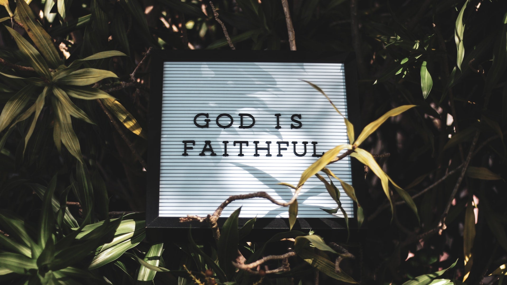 Extraordinary Faith