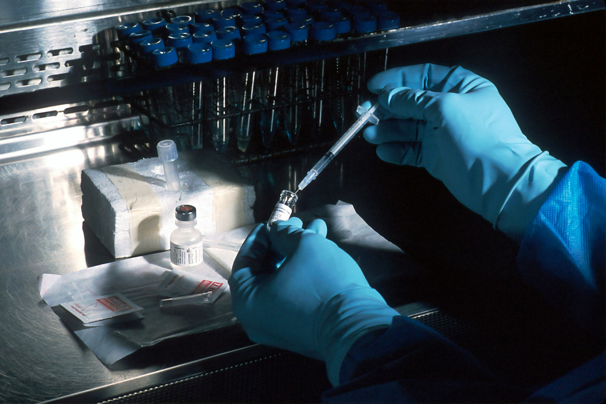 Is Bisexuality Genetically Determined?