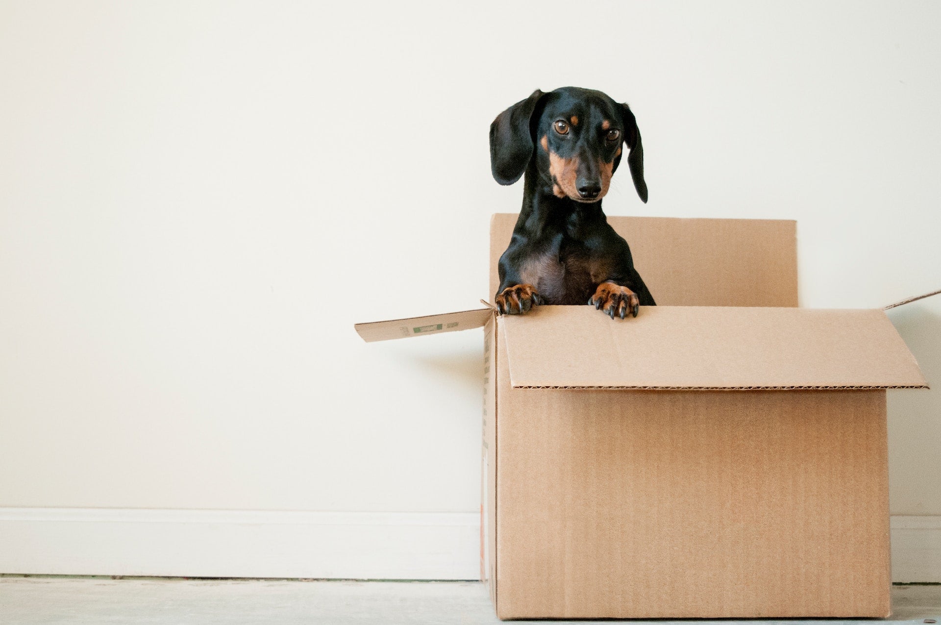 LOOKING OUTSIDE THE BOX AND WHAT THE HECK IS A KEYWORD?!