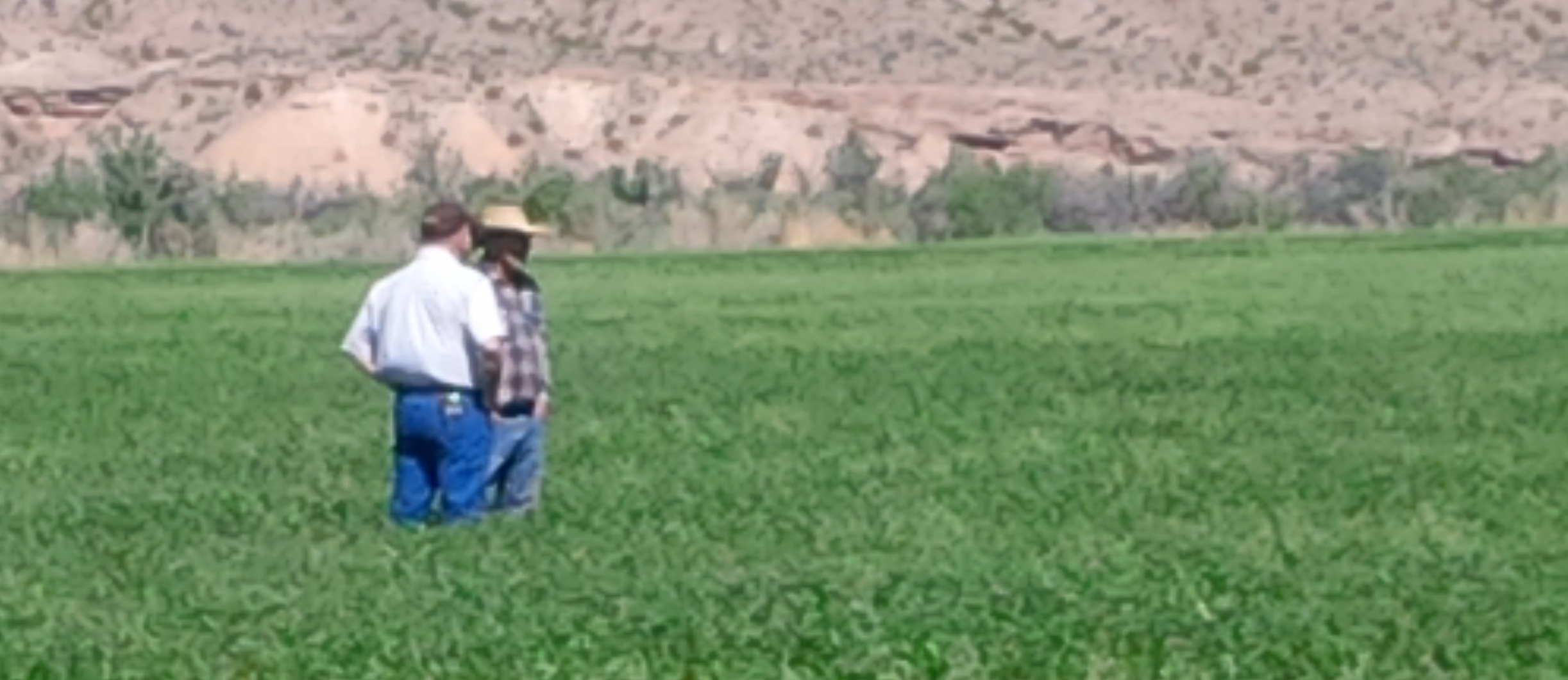 Mike Stickler and Cliven Bundy