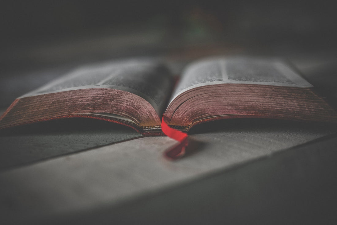Four Dynamics of Encountering Scripture