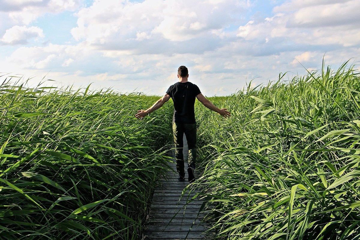 The Walk Aways