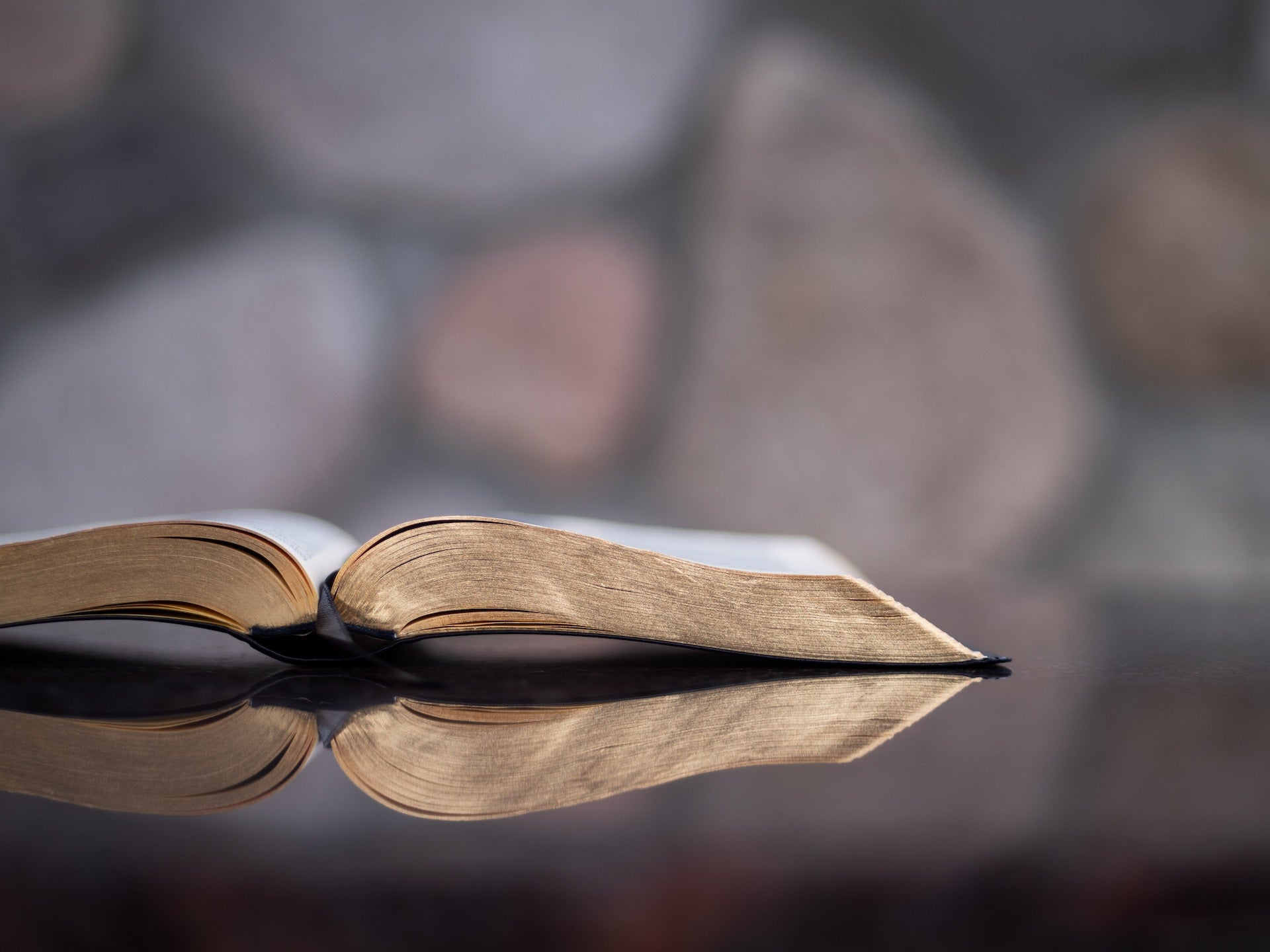 The Seven Best Books On Biblical Leadership Secrets