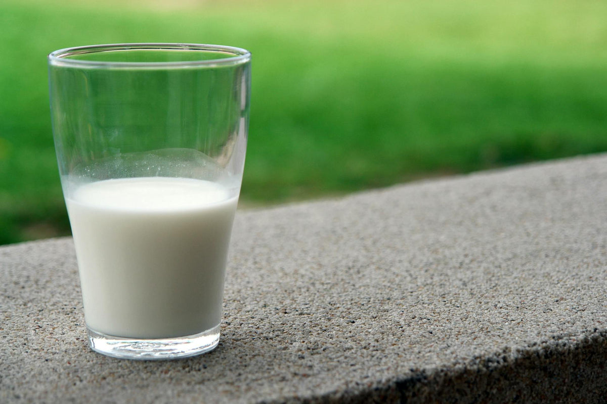 Trans Woman Milk for Babies? Huh?