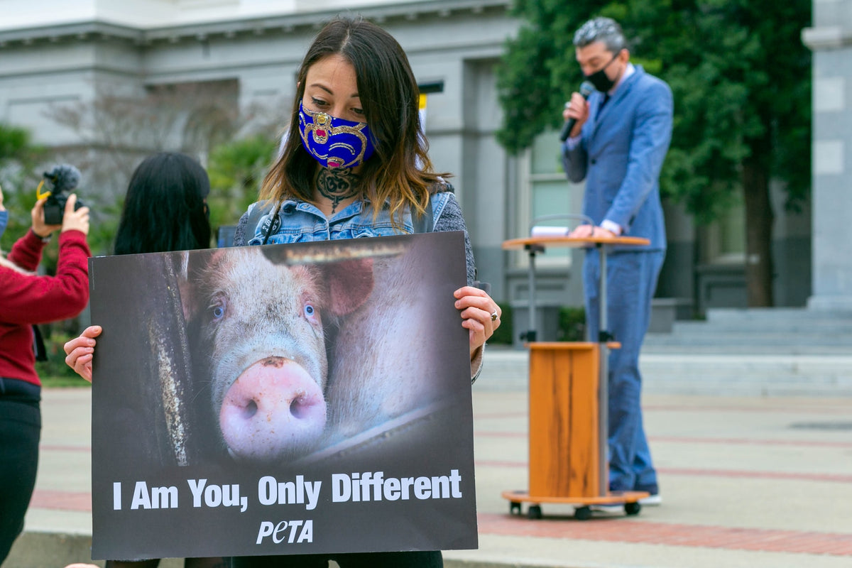 SMH, PETA Is at it Again