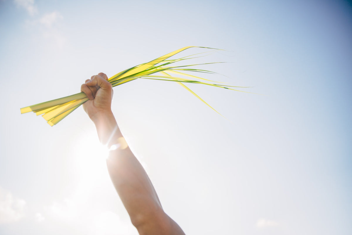 What Is the Difference Between Building Programs and Building Disciples?