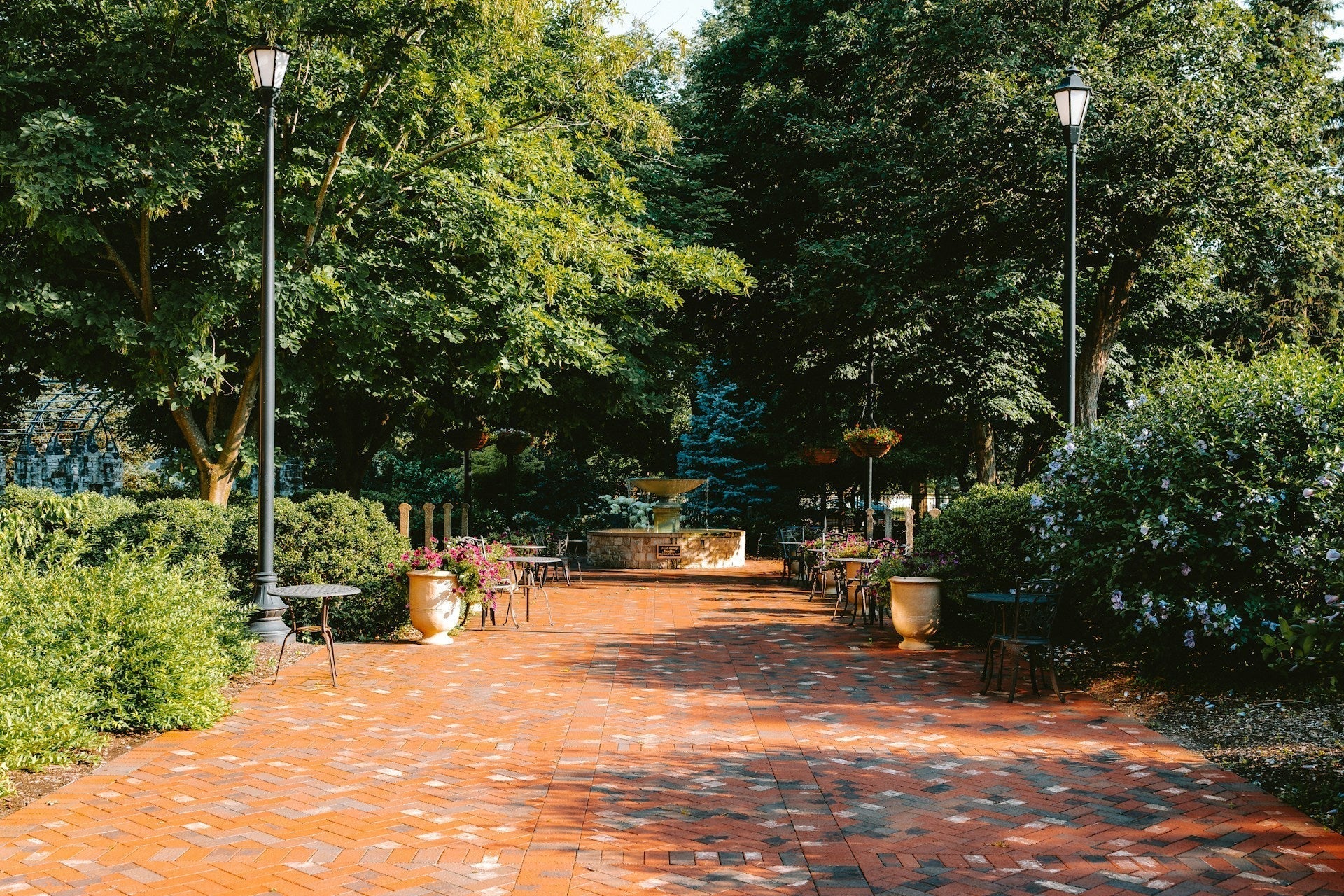 Why Can’t We Just Get Back to Normal?