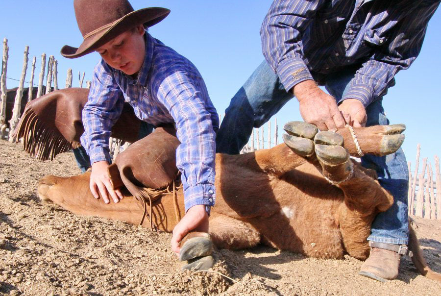 Ranch life for the Bundys | ClivenBundy.net