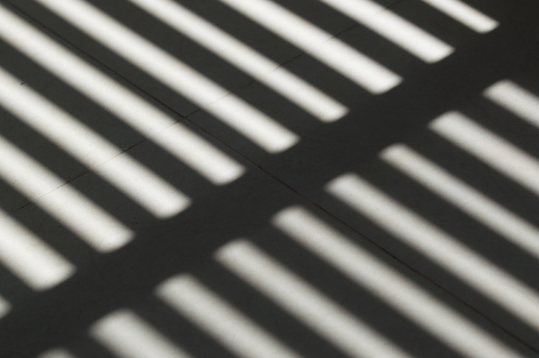 The Characters You Meet in Prison | Cliven Bundy American Patriot