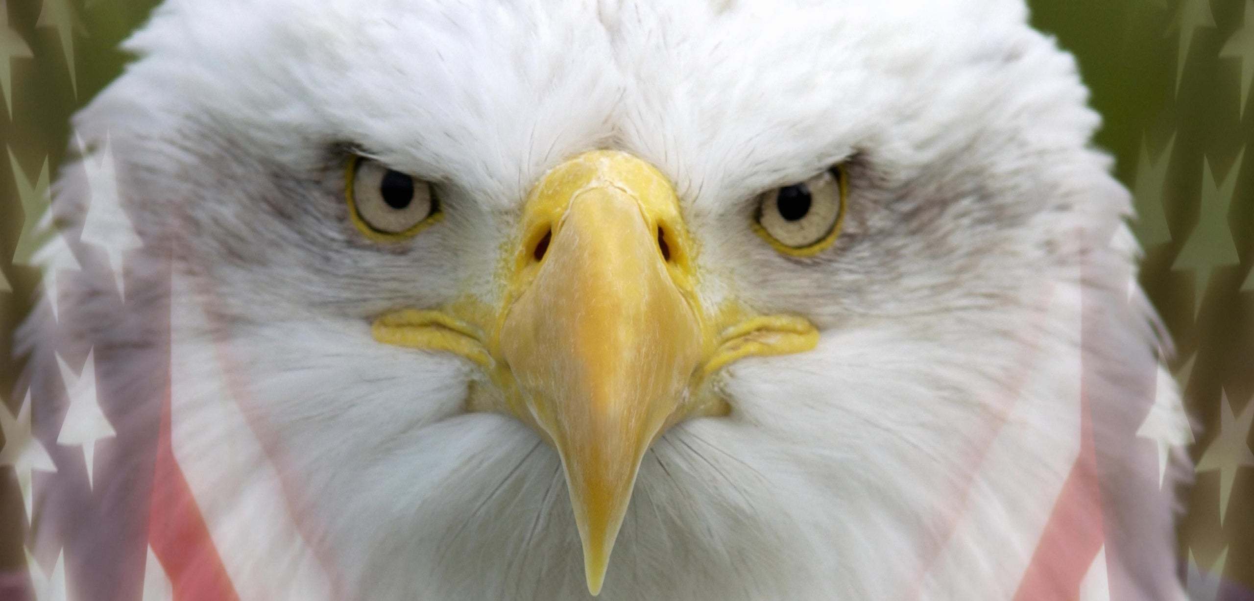 Political Thought Leadership Books