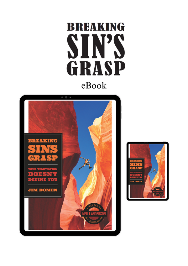 BREAKING SIN'S GRASP: YOUR TEMPTATION DOESN'T DEFINE YOU eBook