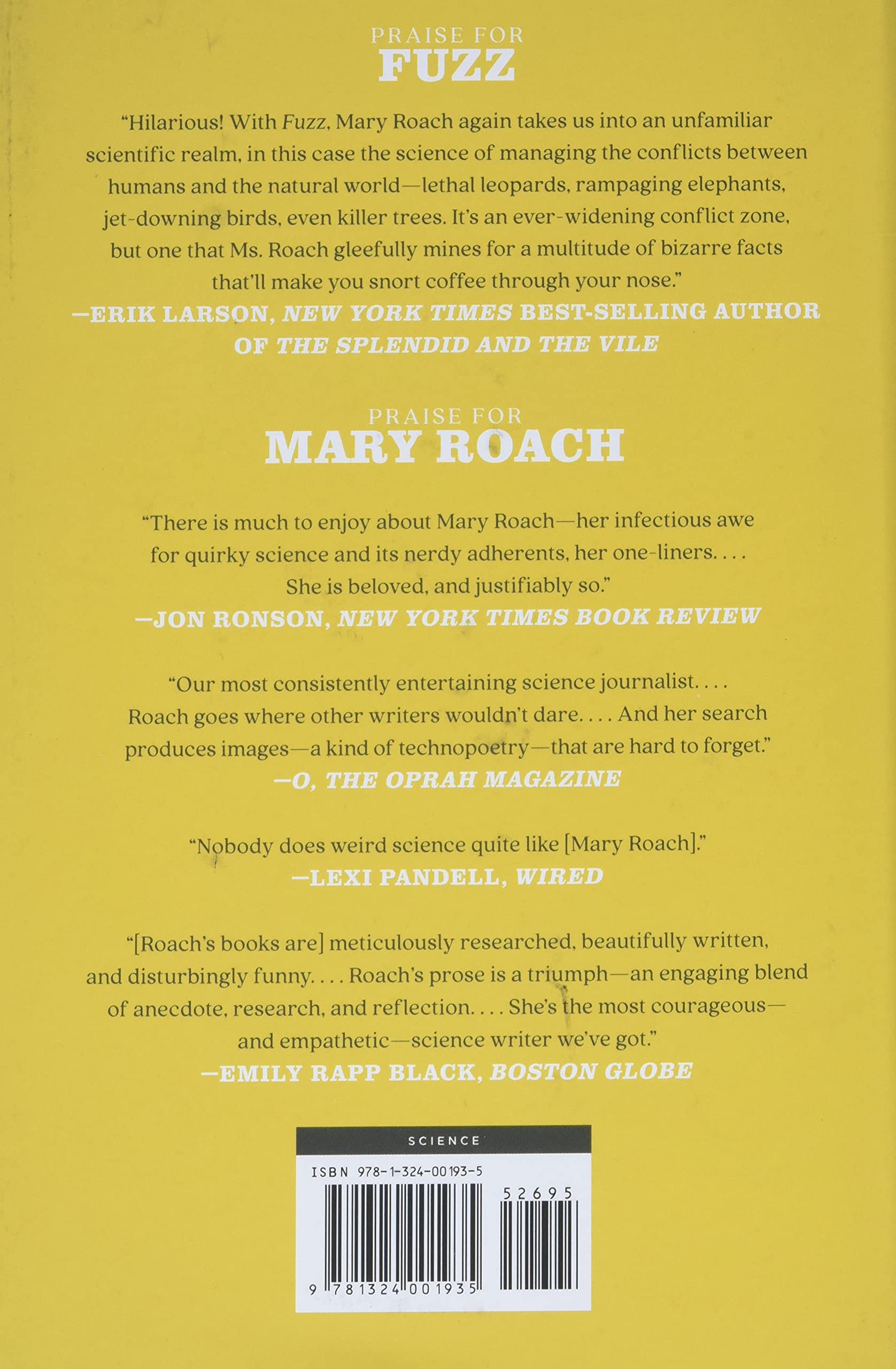 Fuzz: When Nature Breaks the Law